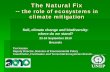 The Natural Fix -- the role of ecosystems in climate …ec.europa.eu/environment/archives/soil/pdf/Kasten.pdfThe Natural Fix--the role of ecosystems in climate mitigation Soil, climate