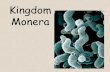 Kingdom Monera · 2 BACTERIA Bacteria - small one celled monerans Bacteria like a warm, dark, and moist environment They are found almost everywhere: -water -air -soil -food