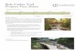 Bob Callan Trail Project Fact Sheet - CCIDBob Callan Trail Project Fact Sheet PROJECT OVERVIEW The Bob Callan Trail is a pristine connection for the Cumberland community to national