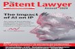 The Patent Lawyer · 2019-12-06 · can arise when Brazilian patent applications include boilerplate text. 77 New examination guidelines on inventive step of patent and new guidelines