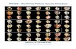 WMSDB - Worldwide Mollusc Species Data Base · WMSDB - Worldwide Mollusc Species Data Base Family: STROMBIDAE Author: Claudio Galli - claudio@bagniliggia.it (updated 08/set/2015)