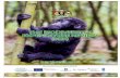 THE BIODIVERSITY EXPENDITURE REVIEW (BER) · Biodiversity Expenditure Review iii ACKNOWLEDGMENTS This Biodiversity Expenditure Review (BER) is a result of collaboration and support