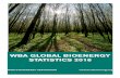 WBA GLOBAL BIOENERGY STATISTICS 2016 Global Bioenergy Statistics 2016.pdfBharadwaj Kummamuru, Project Officer, World Bioenergy Association ACKNOWLEDGEMENT WBA would like to acknowledge