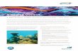 Ningaloo Outlook - CSIRO Research...Ningaloo Outlook is a strategic partnership between BHP Billiton and CSIRO that is carrying out a program of marine research which aims to inform