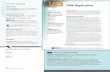 Getting Started DNA Replication - Weeblymrsmoonscience.weebly.com/.../ch_12.3_dna_replication.pdf · 2018-10-17 · 12.3.1 Summarize the events of DNA replication. 12.3.2 Compare