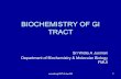 BIOCHEMISTRY OF GI TRACT - Universitas Indonesiastaff.ui.ac.id/.../biochemistryofgitract.fmui-08revppt.pdfsriwidiaaj/GITr/Inter/08 5 Salivary amylase (ptialin) – hydrolized α(1→4)