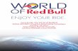 Case Study: The World of RedBull SMAD 443-0001: Creative ...taliafaigendesign.com/wp-content/uploads/2017/11/Red_Bull_Case_Study.pdf · 4 Client/Company History Founding -Inspired