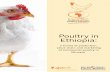 Poultry in Ethiopia - Netherlands-African Business …...Netherlands–African Business Council Holland–Africa Poultry Partners Poultry in Ethiopia: a survey of production, value
