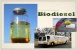 Biodiesel - Biogasbiogas.ifas.ufl.edu/Internships/2012/files/biodiesel.pdf · What is Biodiesel? • Biodiesel consists of alkyl-esters derived from a biological source • Biodiesel