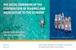 THE SOCIAL DIMENSION OF THE CONTRIBUTION OF FISHERIES … · THE SOCIAL DIMENSION OF THE CONTRIBUTION OF FISHERIES AND AQUACULTURE TO THE ECONOMY. Claudia Stella Beltrán T. International