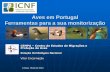 Aves em Portugal Ferramentas para a sua monitorizaçãoapambiente.pt/_zdata/DPCA/AsQuartasAs17naAPA/APAas... · Aves em Portugal Ferramentas para a sua monitorização Lisboa, Maio