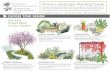 Native Landscape Planting Guide · Baja Bush Snapdragon / Gambelia juncea Chaparral Yucca / Hesperoyucca whipplei Alpine Cleveland Sage / Salvia clevelandii 'Alpine' Desert Globe