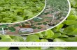 Desde hace 60 años Smithers Oasis, con la fabricación del ... · Los primeros en perfeccionar las soluciones con nutrientes minerales para el cultivo sin suelo fueron los botánicos