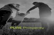 AN OVERVIEW - LIVE PUREimages.livepure.com/web/pdf/Jan2019_PURE_Prosperity.pdf · Volume (LTV) each week. Strategically placing your newly sponsored IBOs will help motivate all of