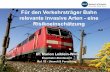 Für den Verkehrsträger Bahn relevante invasive Arten ...neobiota.bfn.de/fileadmin/NEOBIOTA/documents/PDF/BfN-EU-VO-IAS-Fachtagung-2018...der für die Bahn kritischen invasiven Arten