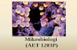 Mikrobiologi (AET 1203P) · Klasifikasi b. Taksonomi Poliphasic (Identifikasi dan deskripsi bakteri) Bentuk pembelajaran : ceramah, diskusi, tugas III. Struktur dan fungsi sel mikroba:
