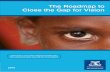 The Roadmap to Close the Gap for Vision · The Roadmap to Close the Gap for Vision and the Annual Updates on the Implementation of The Roadmap to Close the Gap for Vision have been
