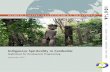 Indigenous Spirituality in Cambodia - Amazon S3 · The report’s principal author is Nathaniel Adams. Katherine Marshall and Claudia Zambra provided substantial in-put, guidance