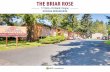 THE BRIAR ROSE...• The return of concessions. New properties are offering concessions as they complete lease-up, and we expect to see rental specials continue, unaffected by season.