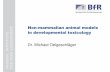 Non-mammalian animal models in developmental …...Non-mammalian animal models in developmental toxicology Dr. Michael Oelgeschläger Dr. Michael Oelgeschläger, 2014-05-16, International