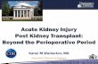 Acute Kidney Injury Post Kidney Transplant: Beyond …...Objectives • Review the differential diagnosis of acute kidney injury (AKI) in the kidney transplant recipient (beyond the