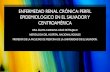 PERFIL EPIDEMIOLOGICO DE LA ENFERMEDAD RENAL CRÓNICA …ins.salud.gob.sv/wp-content/uploads/2019/10/PERFIL-EPIDEMIOLOGICO-DE... · enfermedad renal crÓnica: perfil epidemiologico