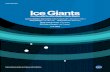 Ice Giants Pre-Decadal Survey Report · 2017-06-12 · Section 1—Executive Summary Ice Giants Pre-Decadal Study Final Report 1-4 Our study emphasizes that key science questions