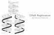 1 DNA Replication - Weebly DNA Replication is Semi-Conservative In semi-conservative replication DNA