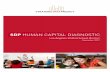 SDP HUMAN CAPITAL DIAGNOSTIC · SDP Human Capital Diagnostic in the Los Angeles Unified School District 1 SDP HUMAN CAPITAL DIAGNOSTIC INTRODUCTION AND BACKGROUND Teachers play a