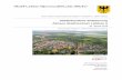 Städtebauliche Zielplanung Aktives Stadtzentrum Lübben II · 2018-03-06 · Städtebauliche Zielplanung „Aktives Stadtzentrum Lübben (Spreewald)“ Bund-Länder-Programm „Aktive