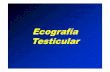 21.- Ecografia testicular [Modo de compatibilidad] · 2013-08-23 · INTRODUCCION: 1. El ultrasonido es una técnica que ha venido madurando a través del tiempo, hasta convertirse