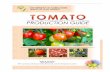 Niña R. Rosales Agriculturist II BPI-Los Banos National ...bpi.da.gov.ph/.../pdf/PRODUCTIONGUIDE-TOMATO.pdf · 2. PSB – Tm9 (Figure 2) : A fresh market determinate tomato from