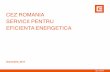 CEZ ROMANIA SERVICII PENTRU EFICIENTA ENERGETICA CEZ_EE DV.pdfAudit Energetic Lucrare bilant energetic conf. reglementari. Agenti economici / institutii Management Energetic Preluare