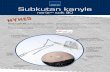 Subkutan kanyle - Marketingshop DKmarketingshop-dk.dk/images/LB1065.pdf · Subkutan kanyle, neria™ soft 90 neria™ soft 90 har mange fordele sammenlignet med den almindelige neria™