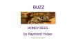 Buzz...Chapter 1- 20 000 Years with Bees Sweetness and Light When Ra weeps, the tears fa" to earth and turn into bees. - Ancient Egyptian Salt Papyrus The story of honey bees story