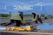 THE BASIC PRINCIPLES OF MECHANISED TRACK MAINTENANCE · 2017-08-31 · 9 780620 562898 isbn 978-0-620-56289-8 mechanisation of track work in developing countries leon zaayman the