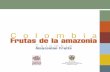 Colombia Frutas de la amazonia - Instituto Sinchi · 2016-09-27 · Frutas de la amazonia 9 La Región Amazónica alberga la mayor extensión de bosques contiguos del planeta, contiene