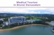 Medical Tourism in Brunei Darussalam · First JCI Hospital in Brunei Darussalam Jerudong Park Medical Centre Sdn Bhd (JPMC) is a private hospital in Brunei Darussalam, located in