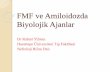 FMF ve Amiloidozda Biyolojik Ajanlarturkhipertansiyon.org/pdf/18_kongre_sunum/FMF_biyolojik...IL-1β IL-1β, tüm çekirdekli hücrelerde bulunan IL-1 receptor type I (IL-1RI)’e