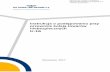 Instrukcja o postępowaniu przy przewozie koleją towarów ... · Instrukcja o postępowaniu przy przewozie koleją towarów niebezpiecznych Ir-16 Warszawa, 2017 Załącznik do uchwały