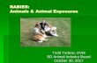 RABIES: Animals & Animal Exposuress3.amazonaws.com/onehealth-wp/content/uploads/2018/03/... · 2018-03-31 · Sally Slavinski DVM, MPH (Co-Chair) Paul Ettestad DVM, MS Tom J. Sidwa