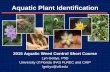 Aquatic Plant ID - UF/IFAS OCI Wed 5C (Sandpiper) 800...Aquatic Plant Identification 2015 Aquatic Weed Control Short Course Lyn Gettys, PhD University of Florida IFAS FLREC and CAIP