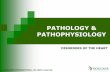 PATHOLOGY & PATHOPHYSIOLOGY - Distanceforum.dougans-international.com/files/files/DISORDERS OF THE HEART.pdf · Learner Study Guide – Pathology & Pathophysiology, Chapter 7, pages