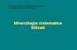 Mineralogia sistematica Silicati sist_4a.pdf · 2013-01-15 · Mineralogia sistematica Silicati Corso di Laurea in SCIENZE NATURALI Facoltà di Scienze MM.FF.NN. Biopiriboli Strutture