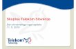Skupina Telekom Slovenije - ljse.si · ponudba telekomunikacijskih storitev ponudba širokopasovnih storitev preko brezžičnega širokopasovnega dostopa, bitnega toka in razvezane