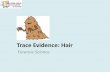Trace Evidence: Hair - WordPress.comTrace Evidence: Hair Forensic Science. Hair Hair is • A slender threadlike outgrowth from the follicles of the skin of mammals • Found all over