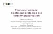 ESMO E-Learning: Testicular cancer: Treatment strategies and fertility preservation · Testicular cancer: Treatment strategies and fertility preservation Giovanni Rosti Medical Oncologist