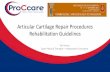 Articular Cartilage Repair Procedures Rehabilitation ......Articular Cartilage Repair Procedures Rehabilitation Guidelines Pat Viroux Sport Physical Therapist –Independent Consultant