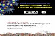 IFOM-inStem Conference on Inflammation and Tissue Homeostasis Program.pdf · IFOM-inStem Conference on Inflammation and Tissue Homeostasis. With a long history of success in the field