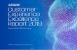 Customer Experience Excellence Report 2019...the customer when they exceed it. RESOLUTION Turning a poor experience into a great one Customer recovery is highly important. Even with